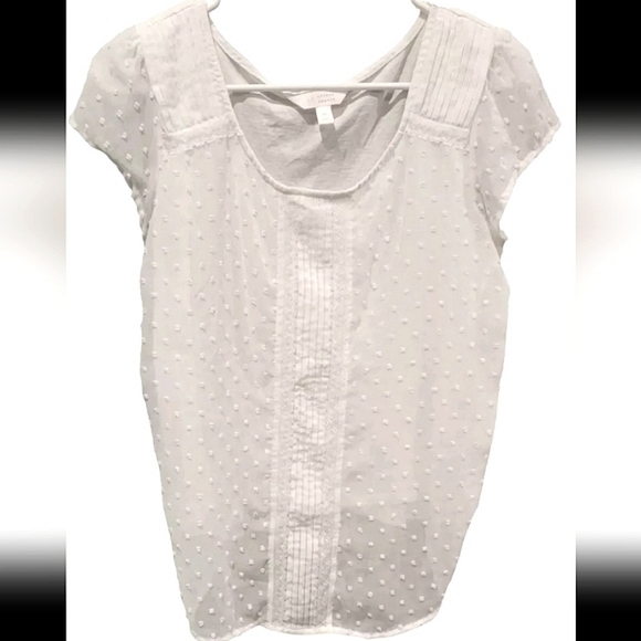 LC Lauren Conrad Tops - LC Lauren Conrad Women's Blouse Top Cap Sleeve Polkadot Classic Size Medium